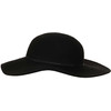 Topshop hat