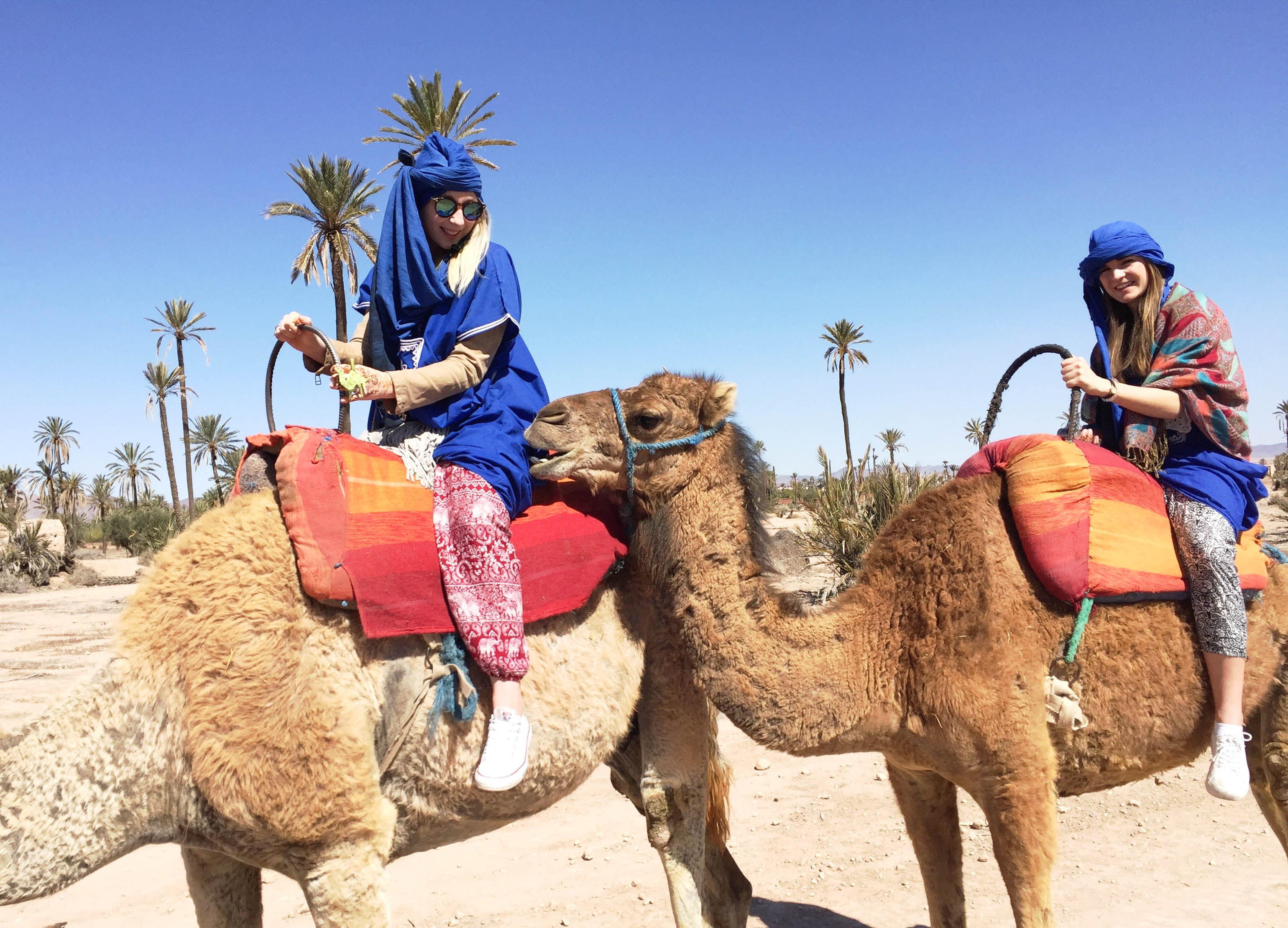 Kurztrip nach Marrakesch Kamel reiten