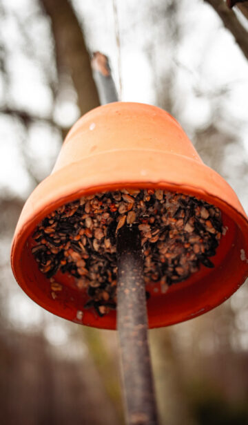 Vogelfutter Tontopf