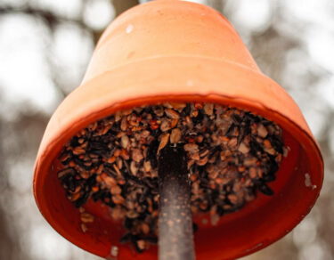 Vogelfutter Tontopf