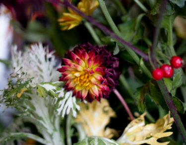 Herbstblumen