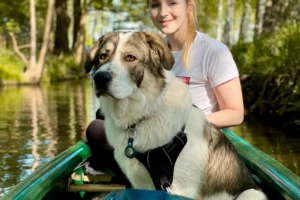 kajak fahren mit hund spreewald